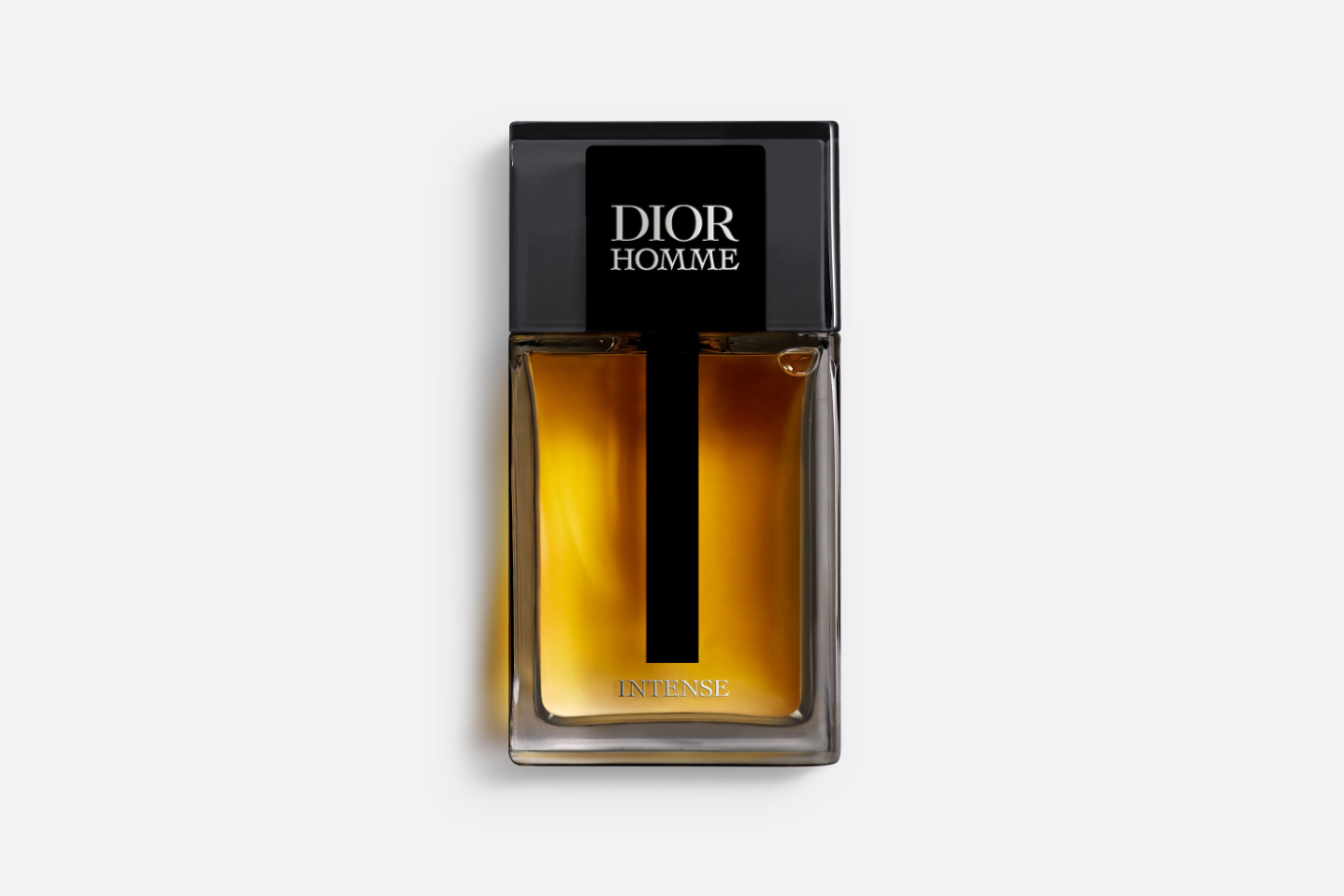 DIOR HOMME INTENSE (EAU DE PARFUM) 100 ml