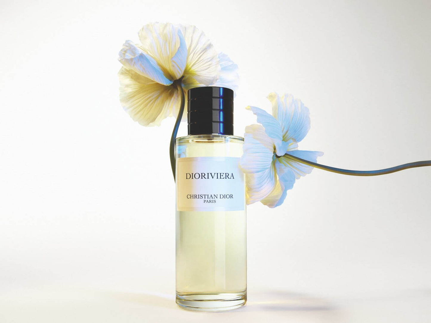 Christian Dior Dioriviera Eau de Parfum 200ml